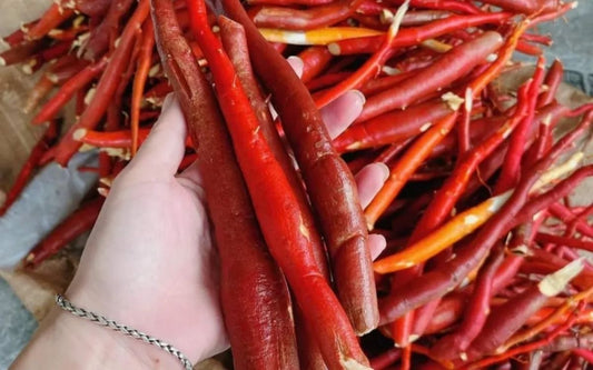 Tác dụng của cây sâm cau rừng, cách ngâm rượu sâm cau rừng