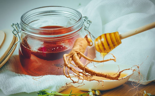 Tác dụng của sâm tươi ngâm mật ong