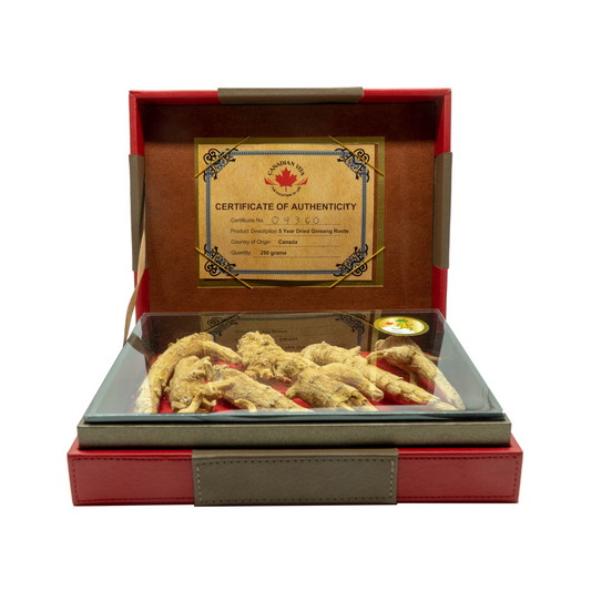 Nhân sâm củ sấy khô Canadian Vita – hộp quà tặng 250g