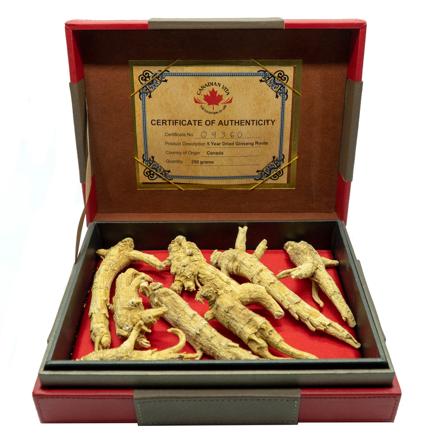 Nhân sâm củ sấy khô Canadian Vita – hộp quà tặng 250g