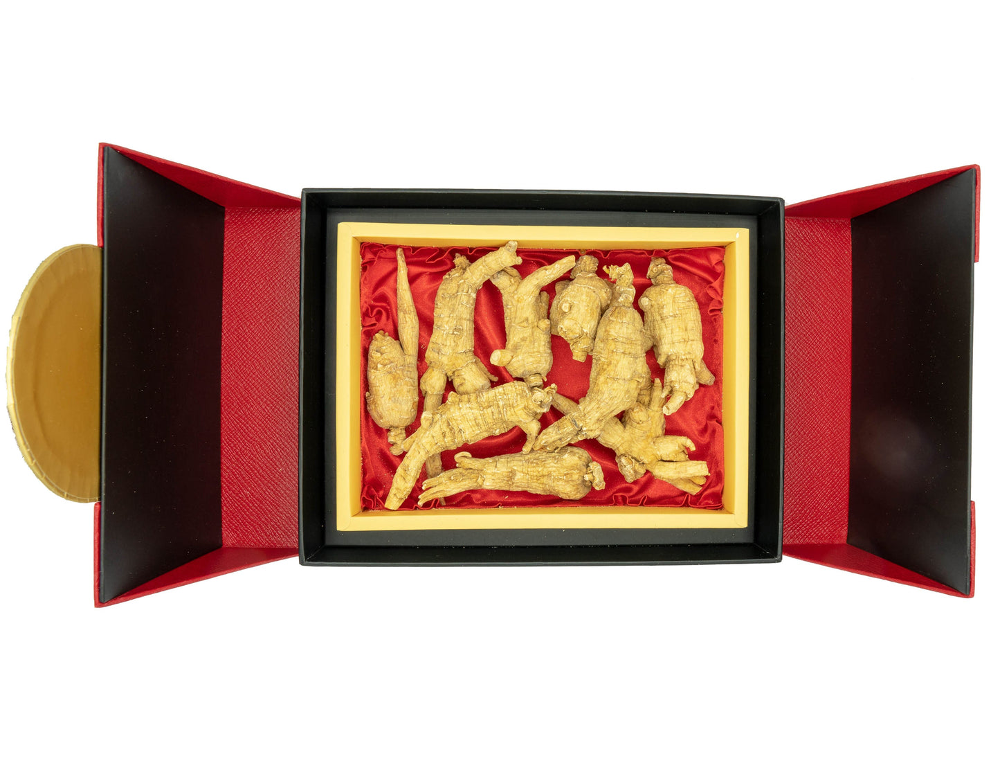 Nhân sâm củ sấy khô Canadian Vita – hộp quà tặng 200g