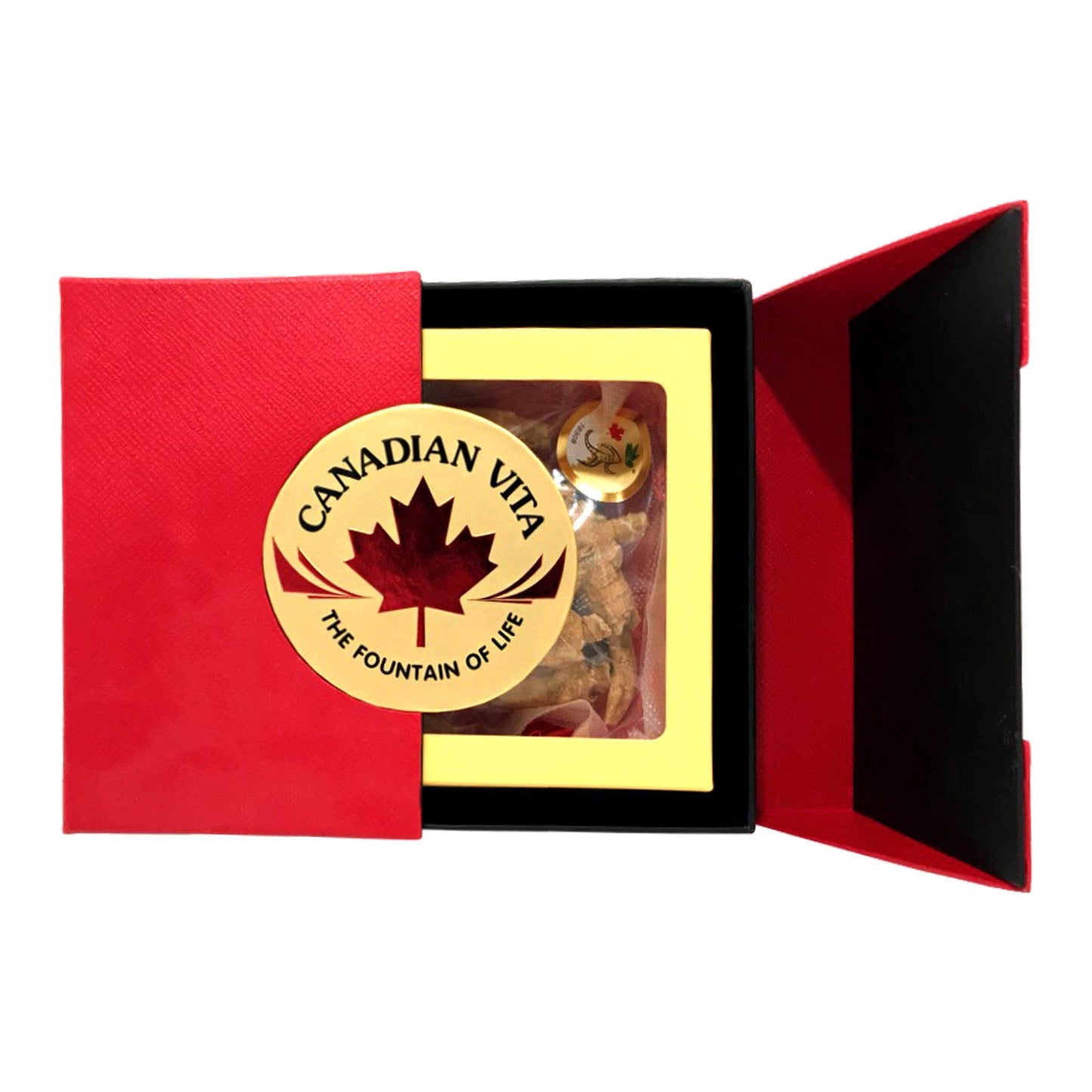 Nhân sâm củ sấy khô Canadian Vita – hộp quà tặng 200g